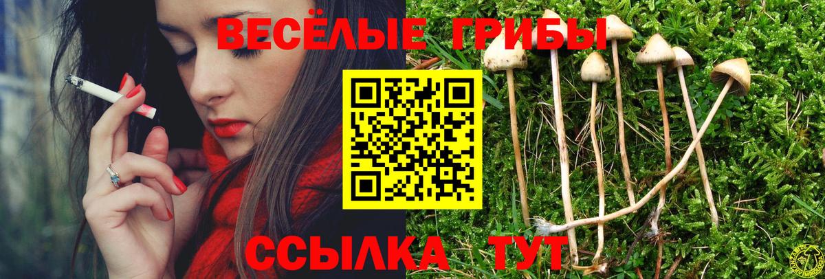 Галлюциногенные грибы GOLDEN TEACHER  Галлюциногенные грибы Psilocybe  Нарткала  Вход с VPN 