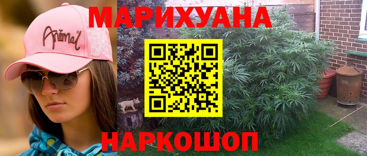 Каннабис конопля Нарткала